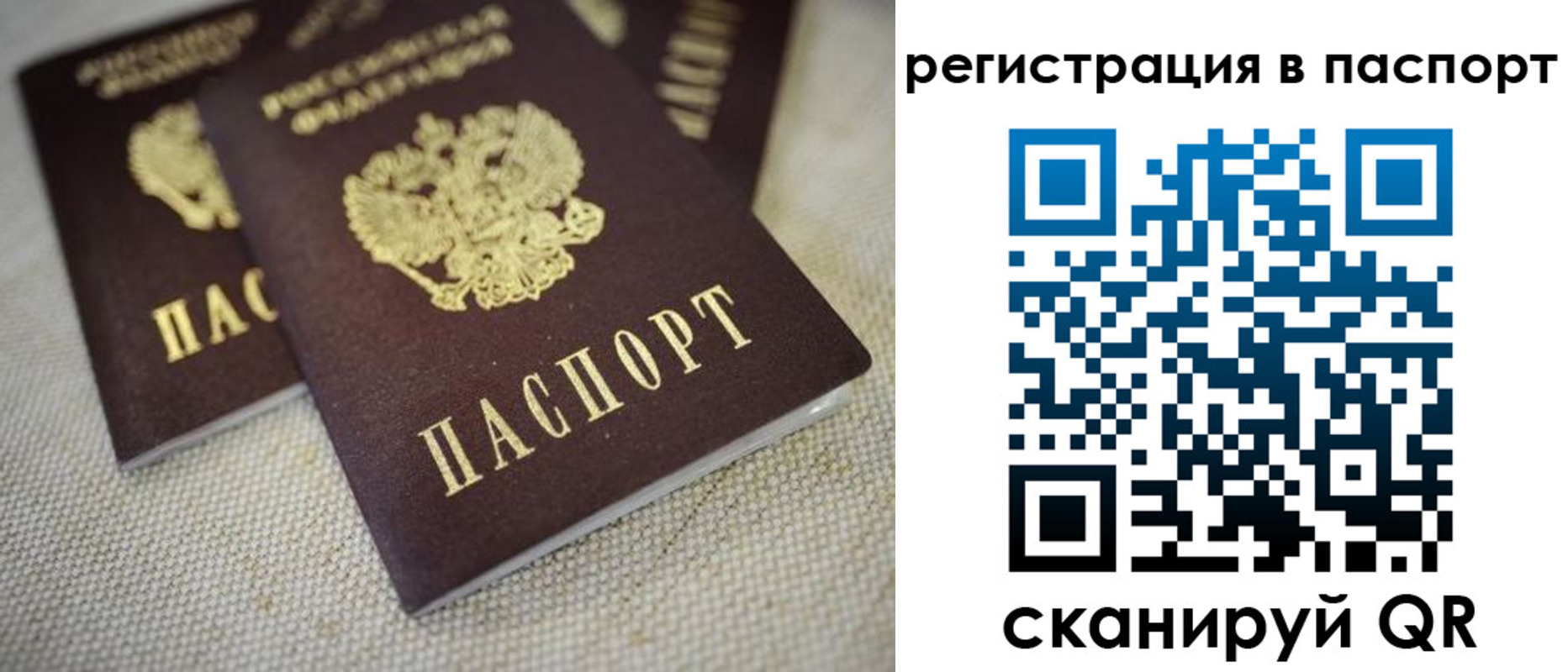 прописка гарантия в Белоярске